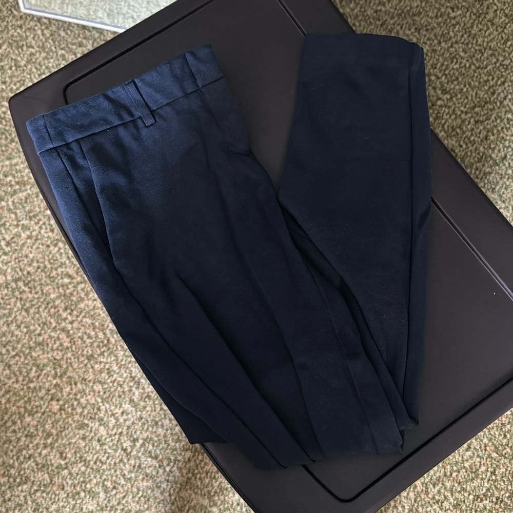 Navy skinny ankle dress pants